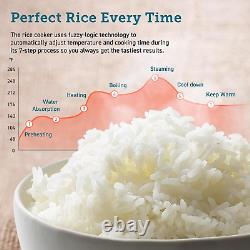 18 Functions Rice Cooker, 24H Keep Warm & Timer, 10 Cup Uncooked Rice Maker with