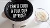 Can A Dash Mini Rice Cooker Cook A Full Cup Of Rice