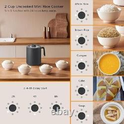 OCTAVO 2 Cup Rice Cooker Mini Small Size 5 Preset Function with 4/6/8 Delay Time