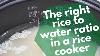 The Right Rice To Water Ratio In A Rice Cooker For White Jasmine U0026 Basmati